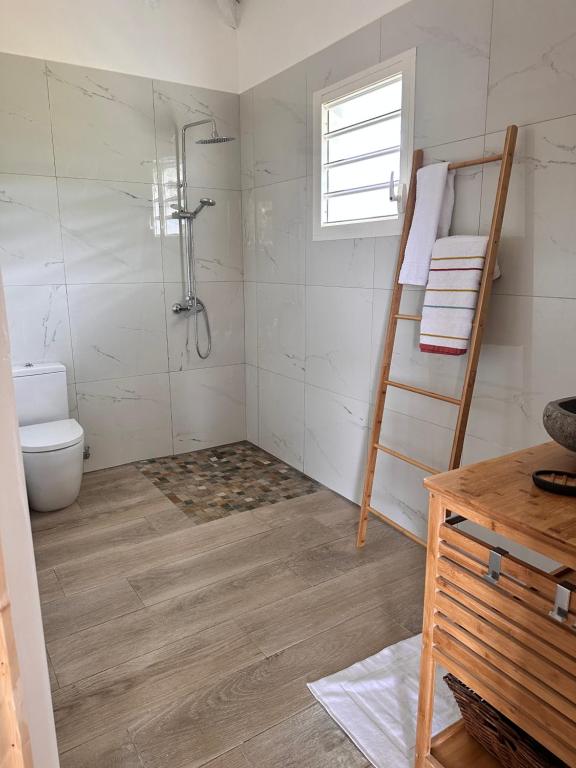 La salle de bains est pourvue d'une douche et de toilettes. dans l'établissement GÎTE de GUADELOUPE, à Petit-Bourg