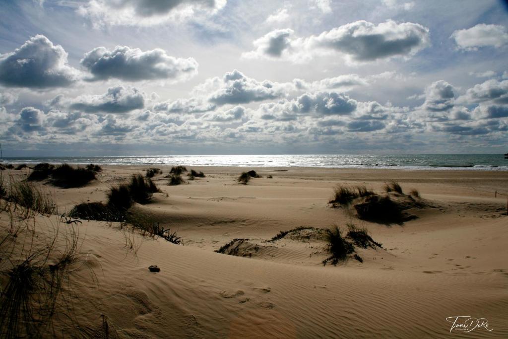 Ein Strand an oder in der N&auml;he der Ferienwohnung