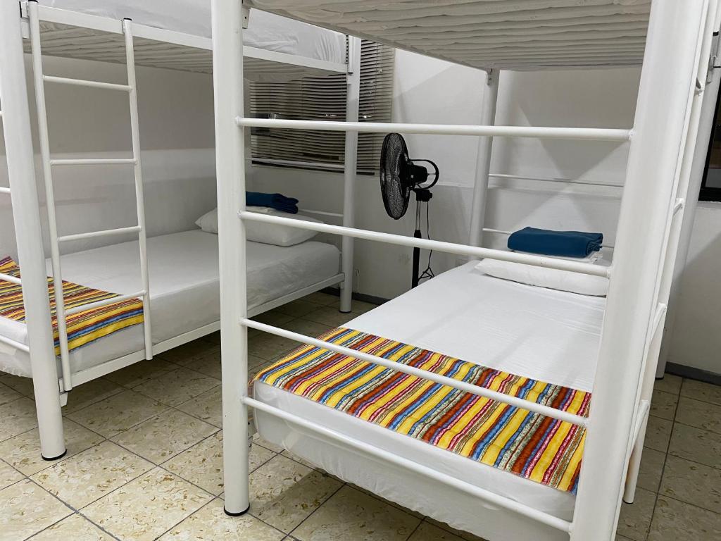 Palanda nebo palandy na pokoji v ubytování Vive Alegria Hostel