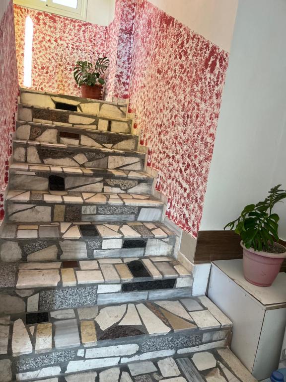 Fotografie z fotogalerie ubytování Guesthouse Kristi & Mari v destinaci Vlorë