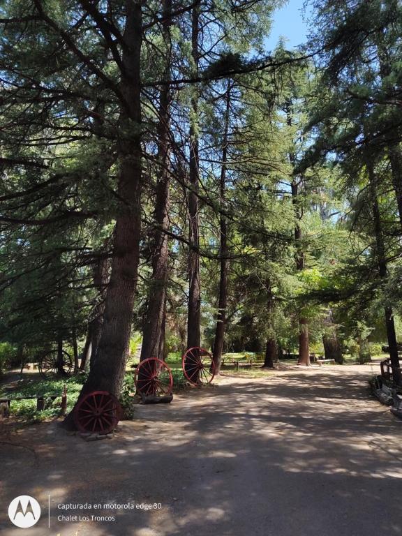 un parque con árboles y bancos a la sombra en Chalet Los Troncos en San Rafael