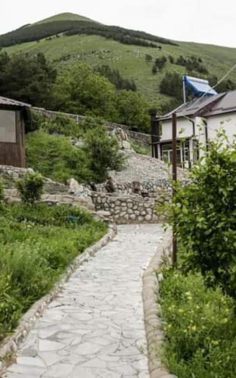 Příroda nedaleko hotelu