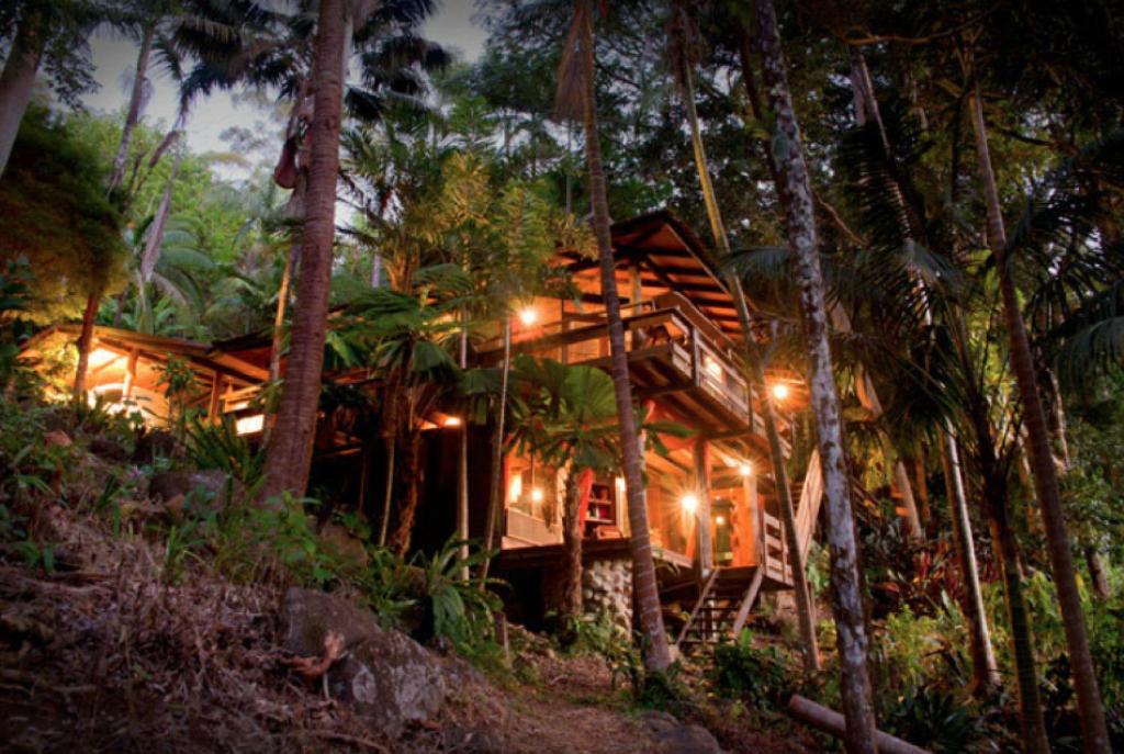 a tree house in the middle of the forest at Currumbin Rainforest Treehouse in Currumbin Valley