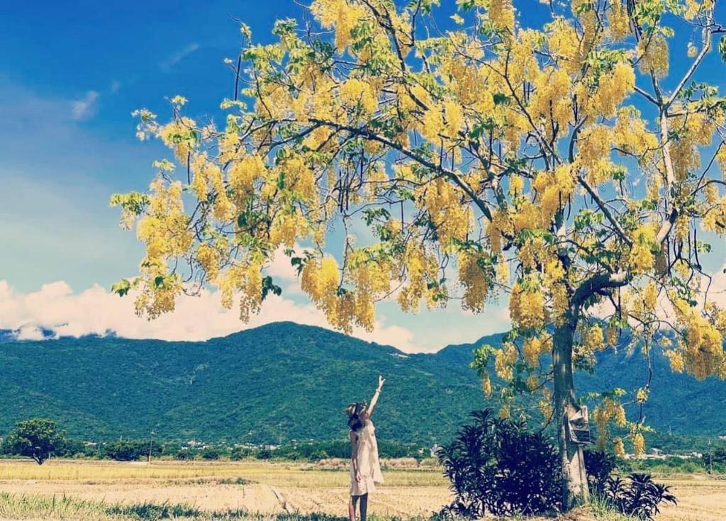 a woman standing next to a tree with her arms up at Pu Shi Homestay in Yuli