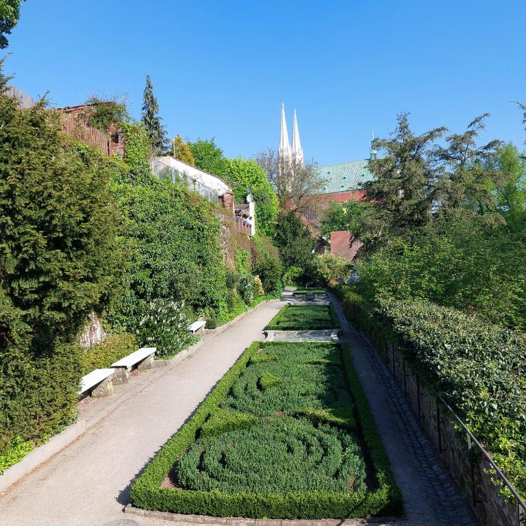 un parque con una hilera de setos y bancos en Picobello Pension, en Görlitz