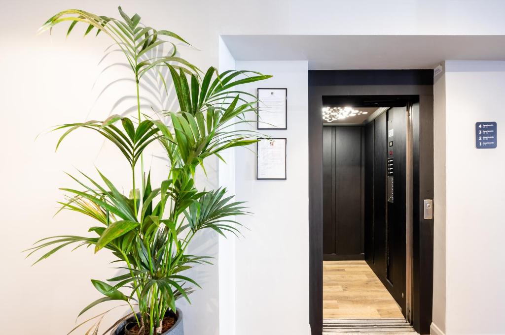 Staycity Aparthotels, Dublin, Christchurch - Resim 21