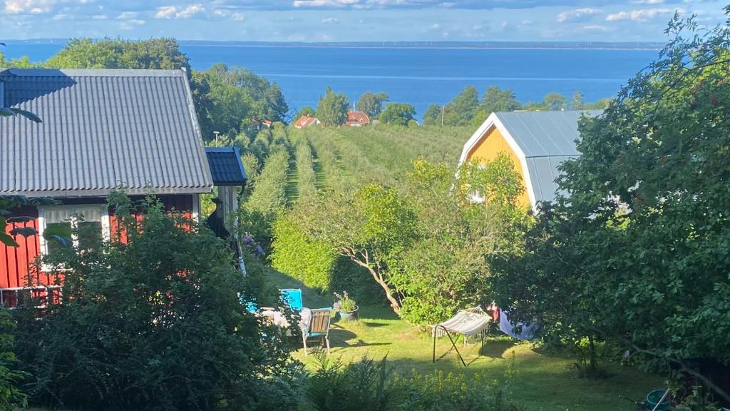 Blick auf ein Haus und einen Garten mit Bäumen in der Unterkunft Cottage with sea view, Kattviksvägen in Båstad