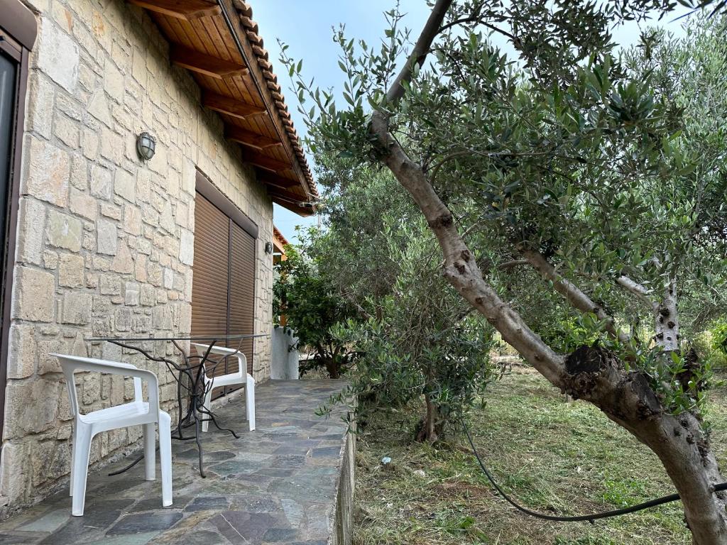A garden outside Elia Home
