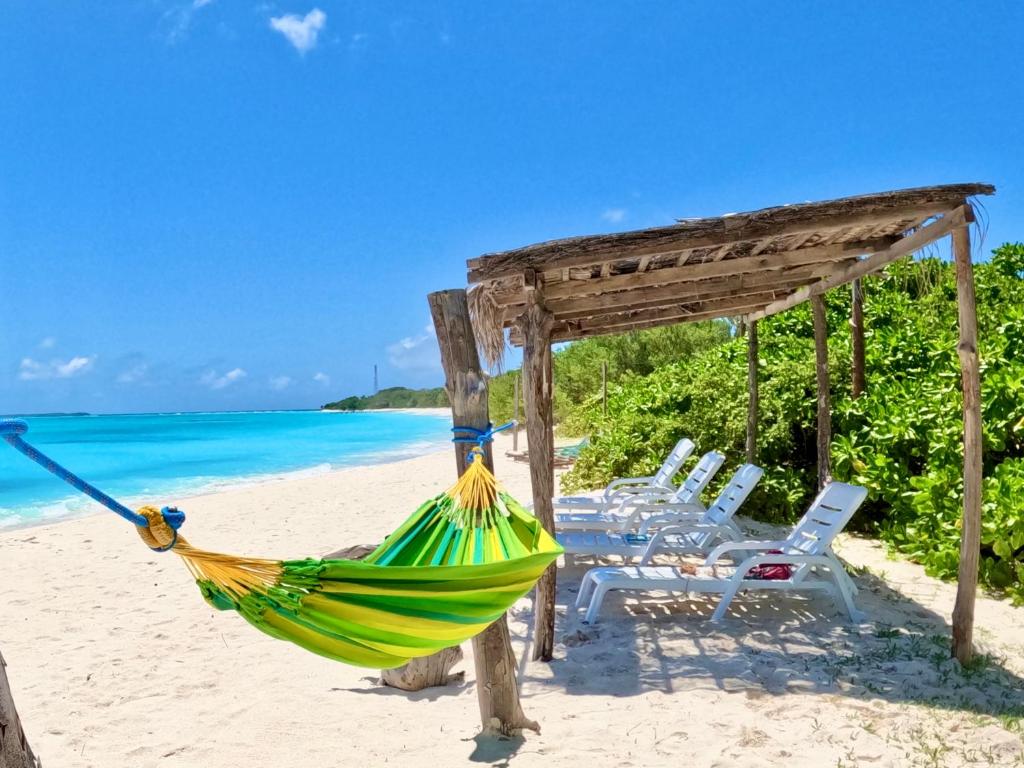 a hammock on a beach with chairs and the ocean at AquaVilla in Vashafaru