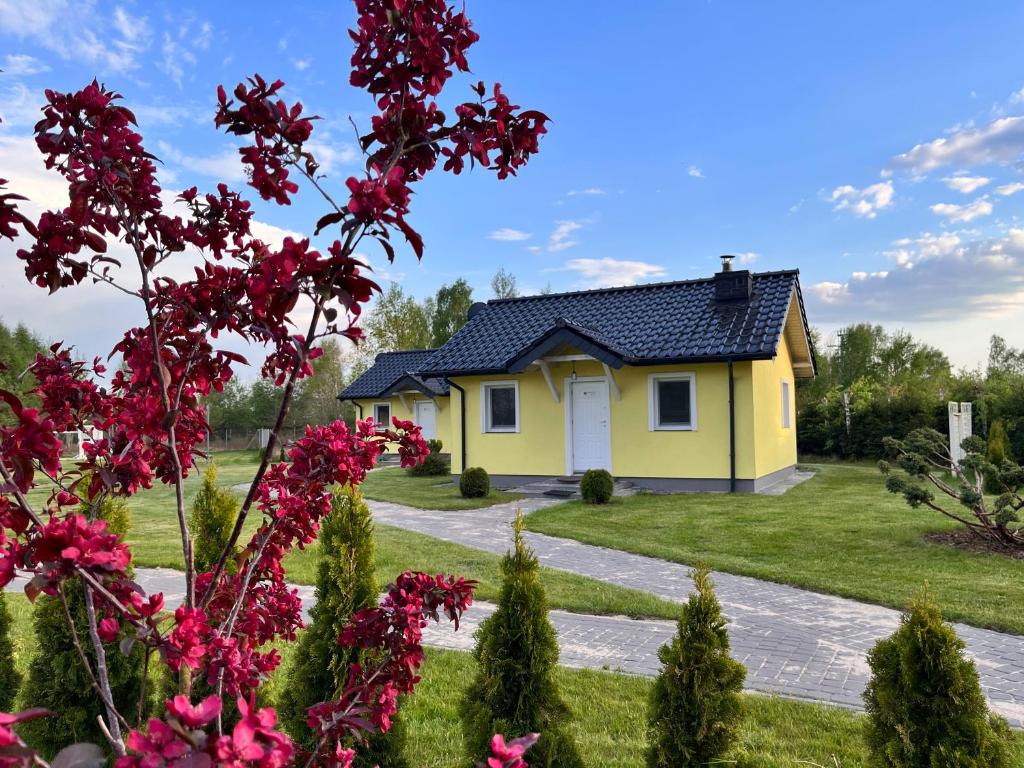 una casa gialla con tetto nero di Brzozowy Zakątek a Dąbki