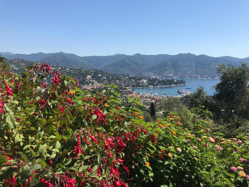 a view of a body of water with flowers at Solimano 50 in Santa Margherita Ligure