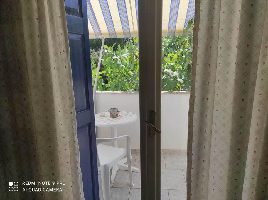 キオスにあるDolphinsのテーブルとカーテン付きの窓が備わる客室です。