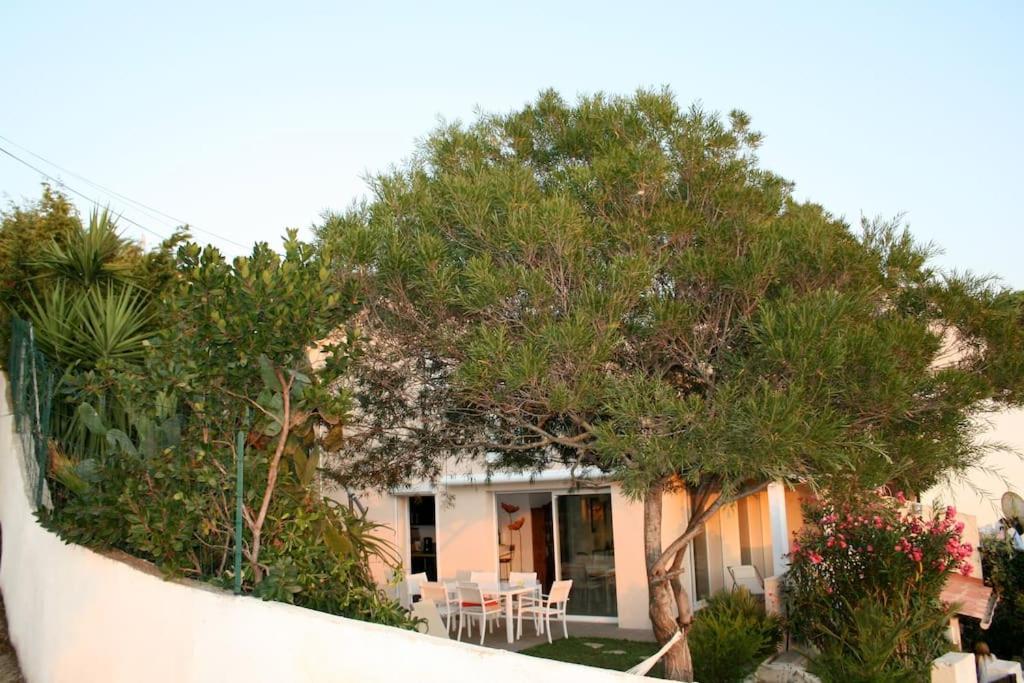 Zahrada ubytování Maison golfe d'Ajaccio: vue mer