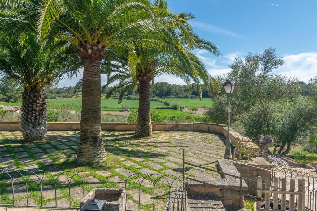 Zahrada ubytování Hortella -Ecofinca-