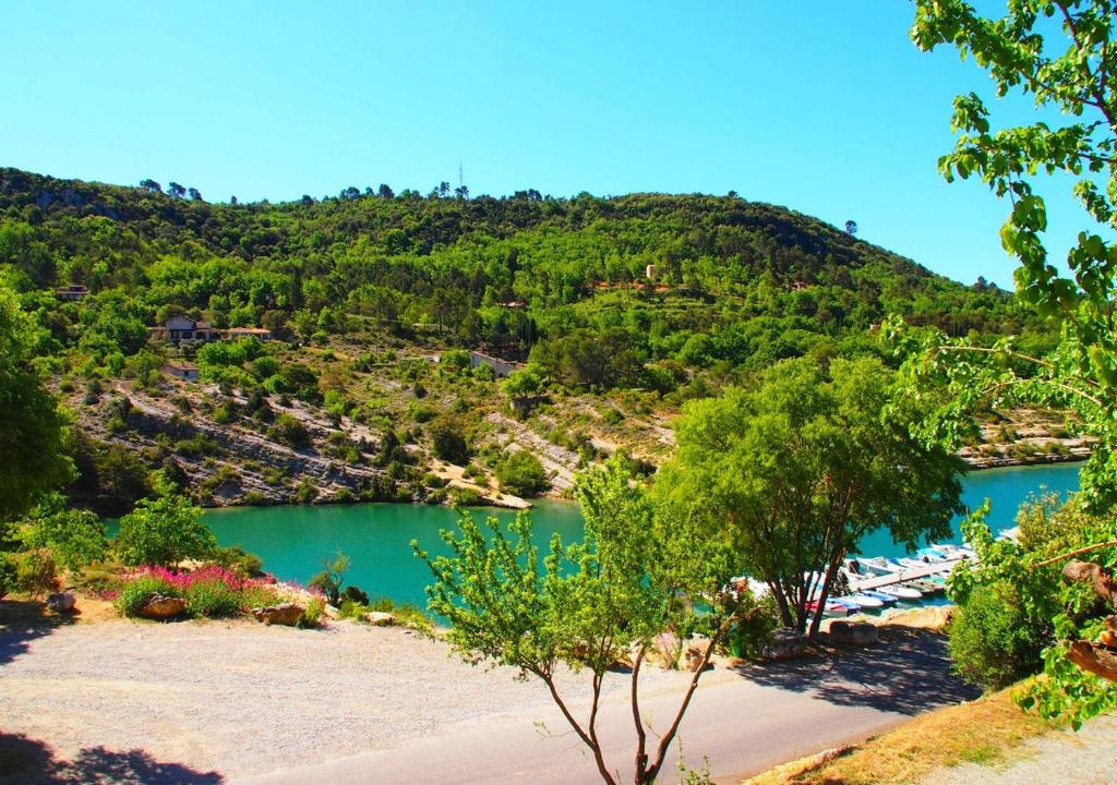 uma vista para um rio com uma montanha ao fundo em Appartements Hameau du Port em Esparron-de-Verdon