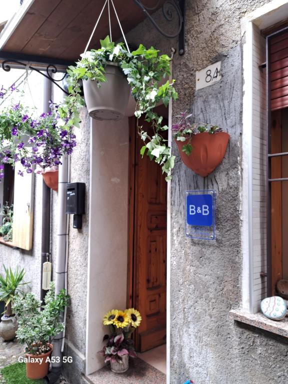 Fotografie z fotogalerie ubytování B&B LA CASINA da SEMMY v destinaci Comacchio