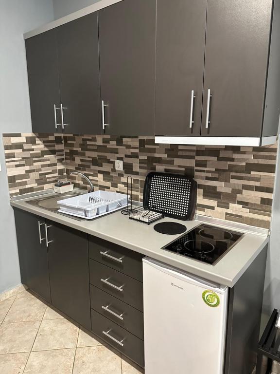 Kuchyň nebo kuchyňský kout v ubytování Grey Pearls Apartments