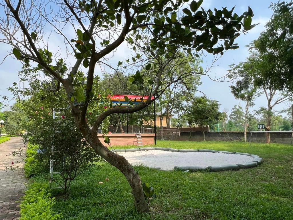 Vườn quanh Trúc An Village