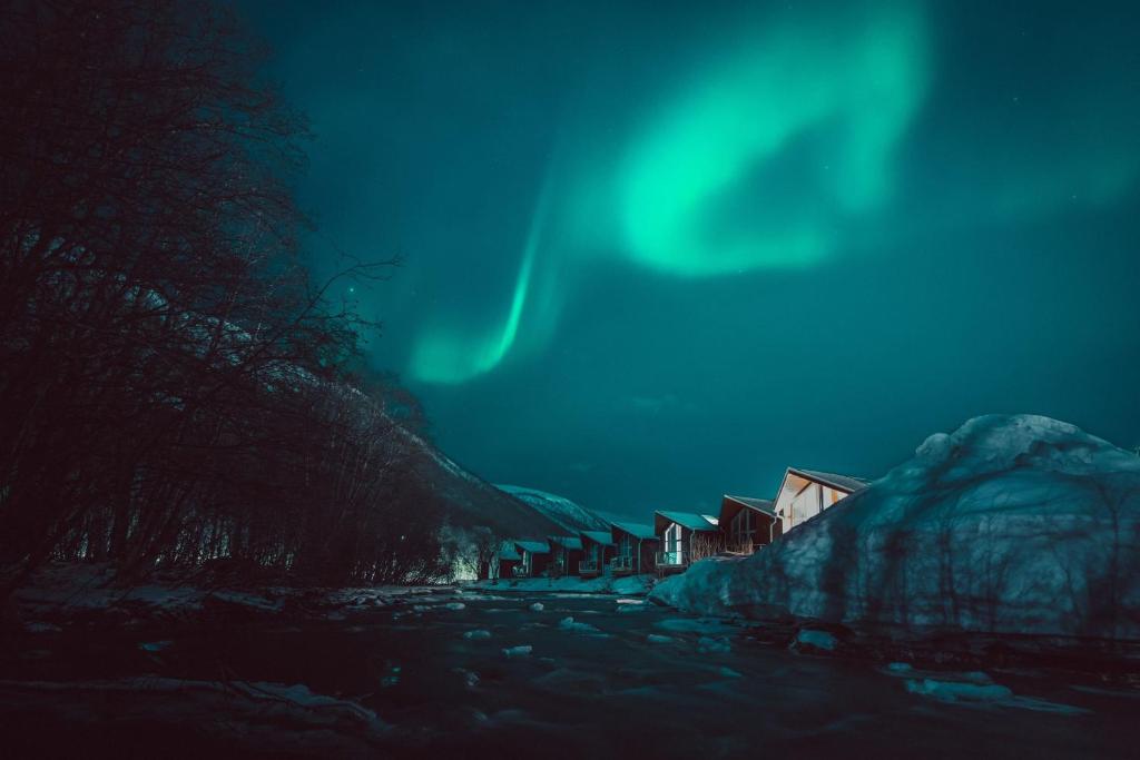 an image of the aurora dancing in the sky at Tromsø Lodge & Camping in Tromsø