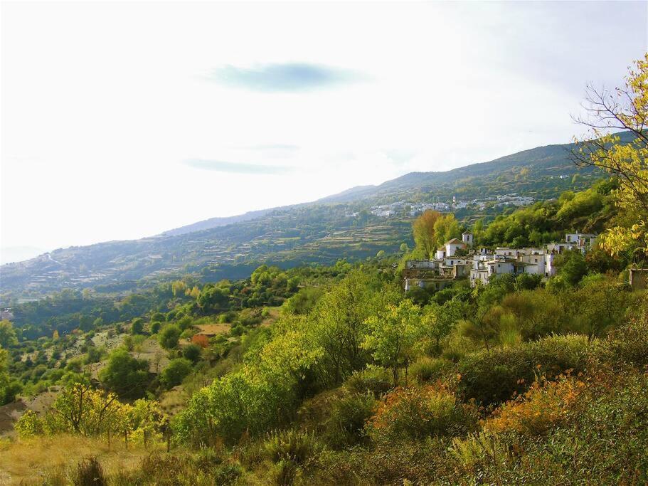 Casa Carmela, rural house with spectacular views, in an exquisite area - Housity