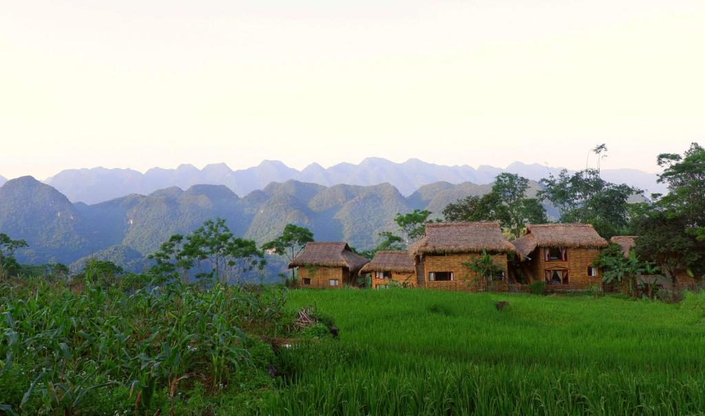 a group of houses in a field with mountains in the background at Pu Luong Jungle Lodge in Pu Luong