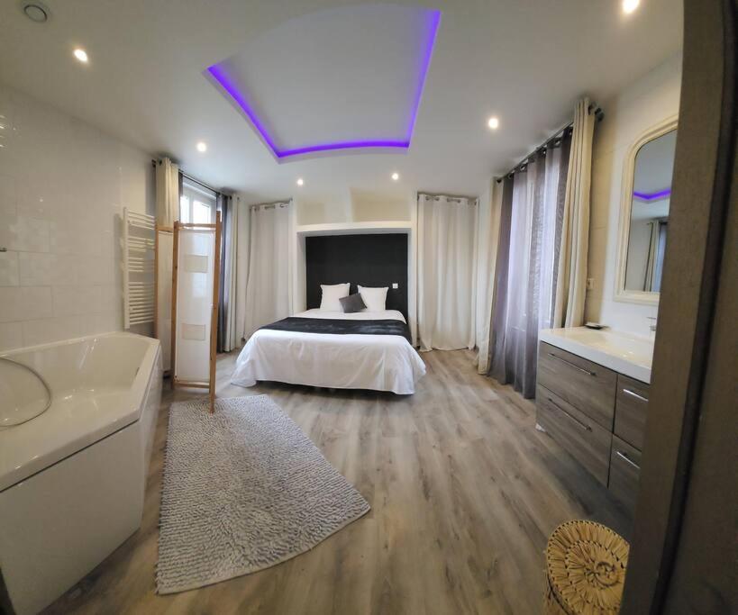 um quarto grande com uma cama e uma banheira em Appartement avec baignoire - Hautvillers em Hautvillers