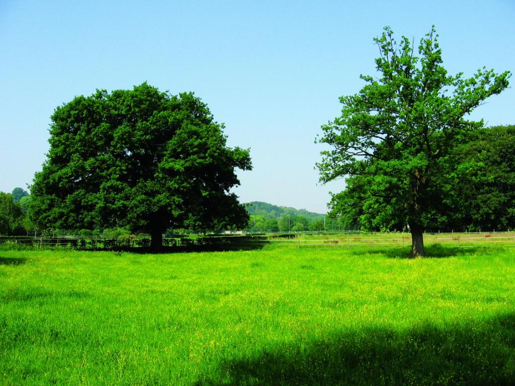 Fletcher Hotel Restaurant De Geulvallei - Resim 10