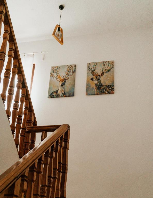 Fotografie z fotogalerie ubytování Cabana Laptici - statiunea Pestera-Padina, Bucegi v destinaci Sinaia
