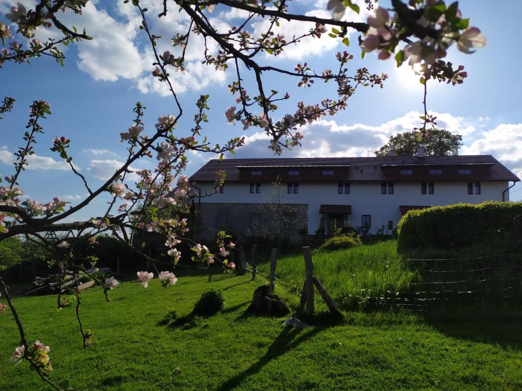 a building in a field with a tree in the foreground at Ekofarma Bílý mrak in Borohrádek