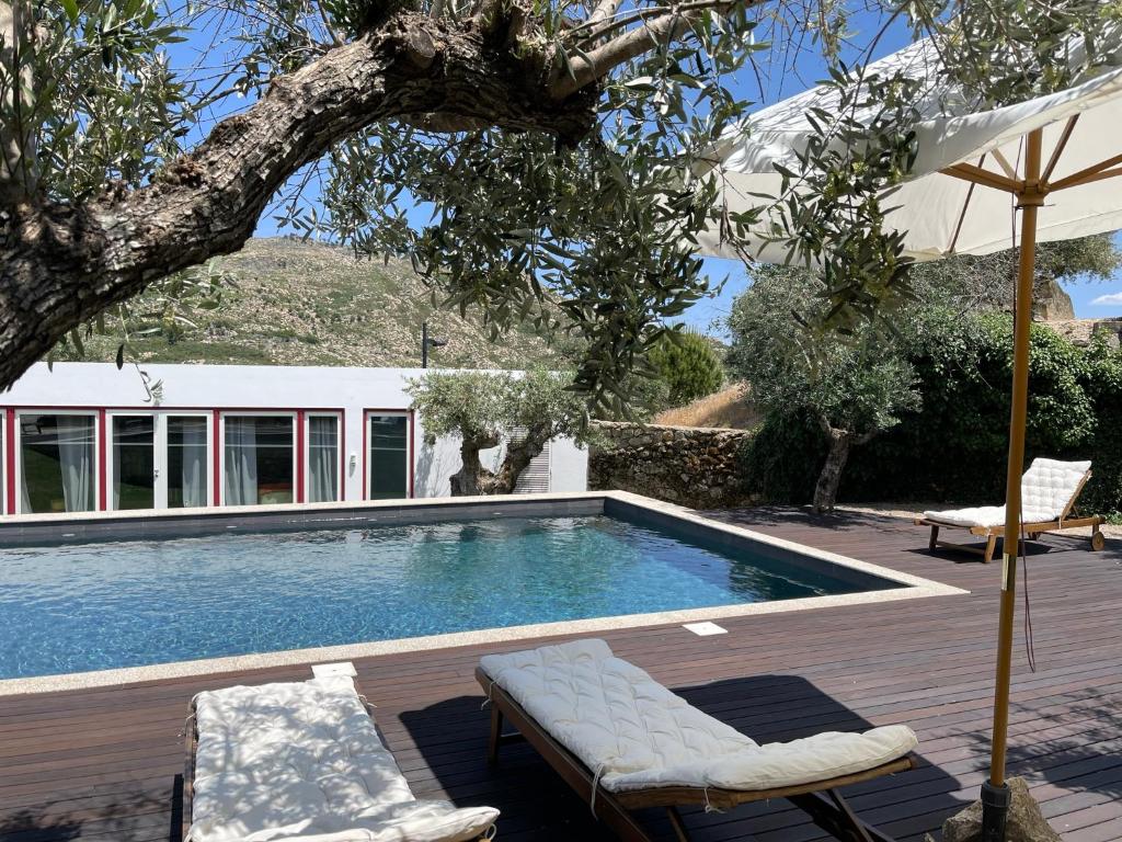 a swimming pool with two chairs and an umbrella at Pedra Nova in Castelo Novo