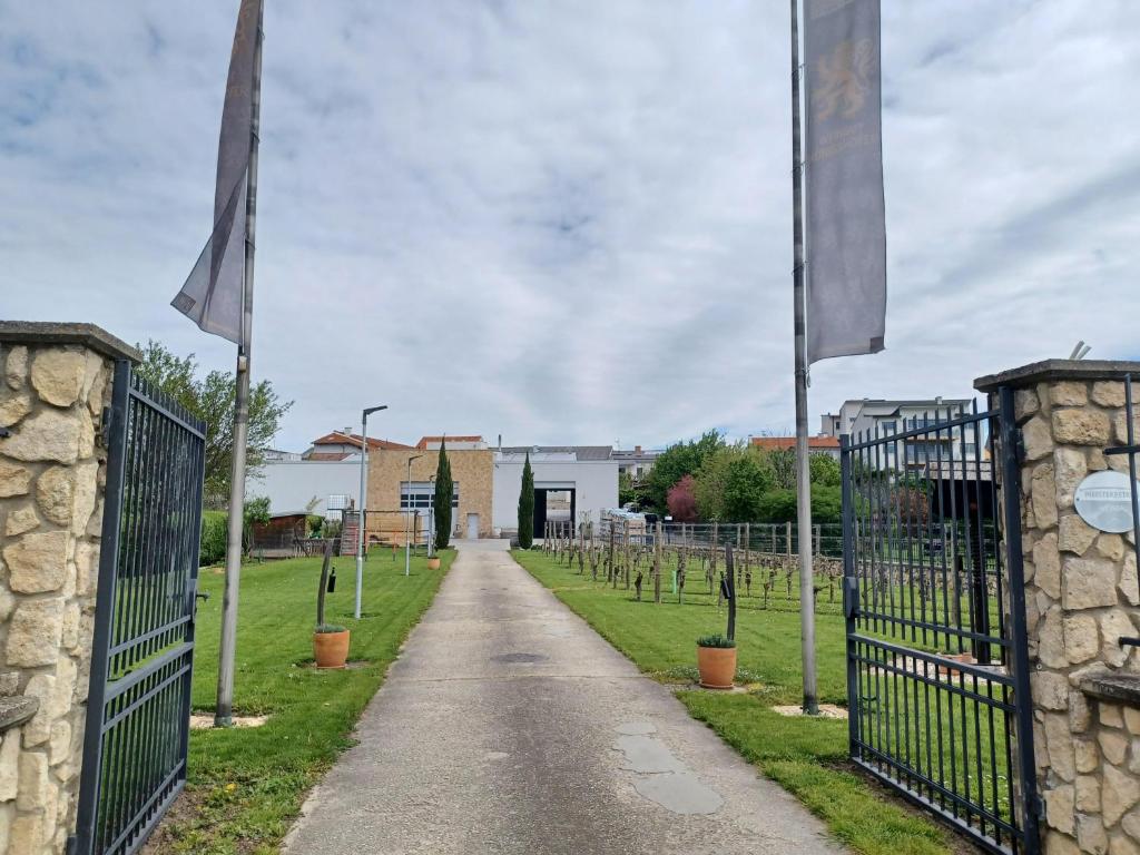 Fotografia z galérie ubytovania Weingut Königshofer v Neusiedl am See
