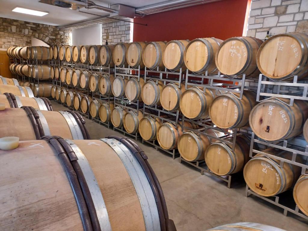 Fotografia z galérie ubytovania Weingut Königshofer v Neusiedl am See