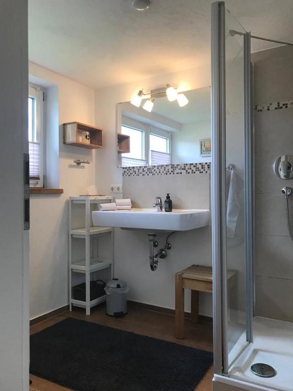 Koupelna v ubytování Ferienhaus Westerbuchberg
