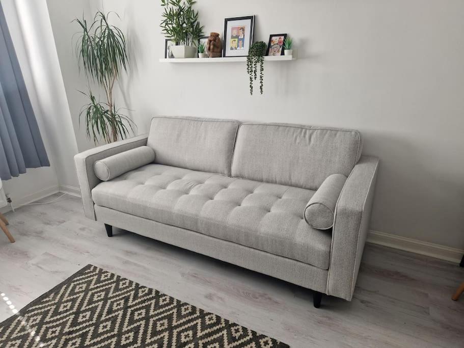 Sofá gris en una sala de estar con alfombra en Flat in Hamilton, South Lanarkshire, en Hamilton