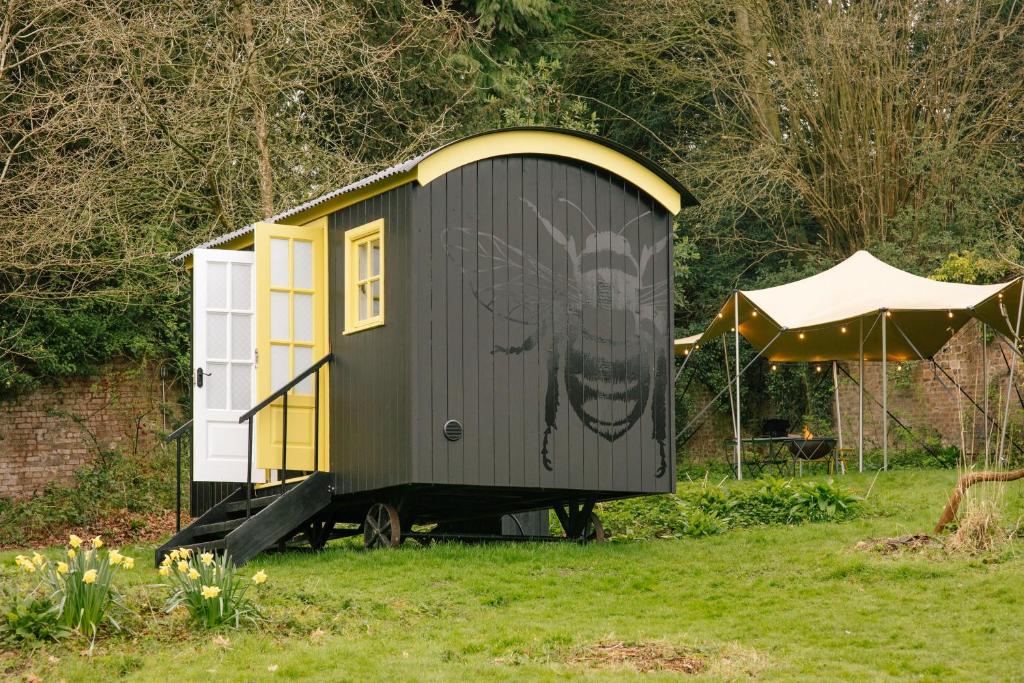 uma pequena casa preta e amarela num quintal em Beekeeper's Hut - Hawarden Estate em Hawarden