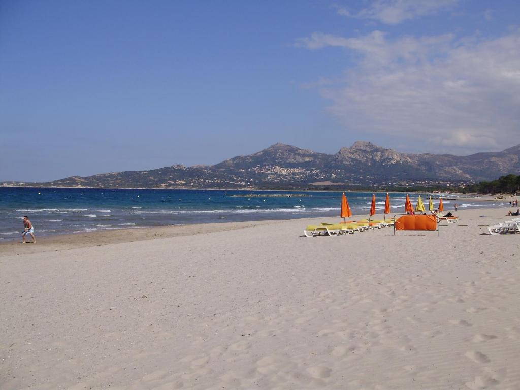a beach with chairs and umbrellas and the ocean at Appartement F1 Calvi à 150 mètres de la plage in Calvi