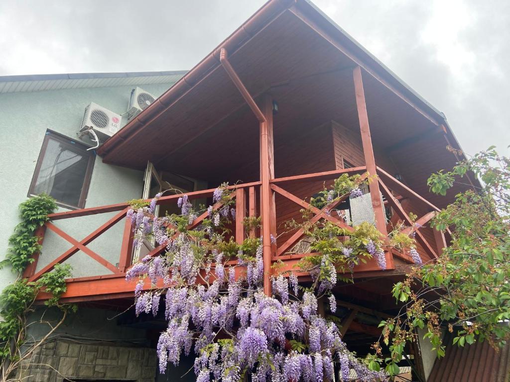 un montón de flores púrpuras colgando de un balcón en FKoka, en Beregovo