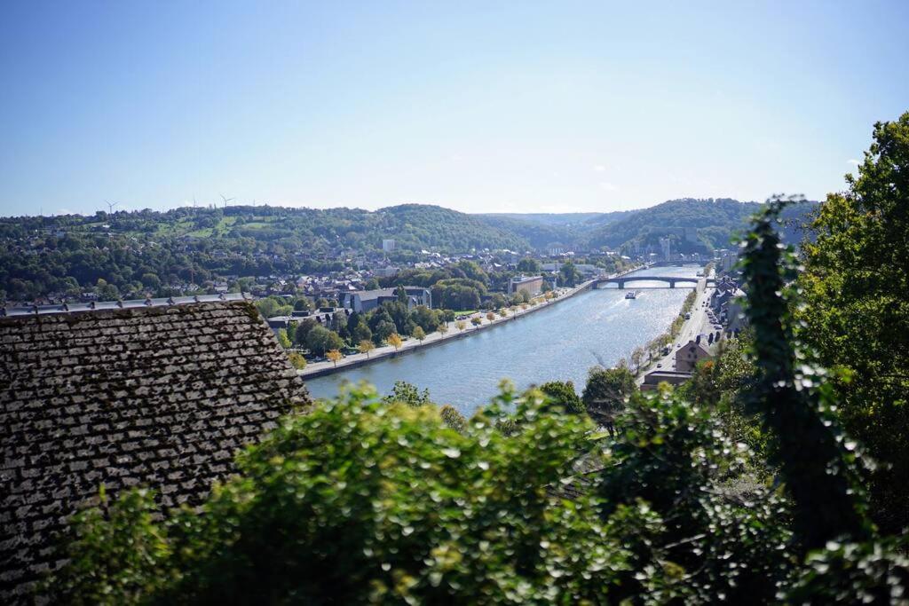 ein Blick auf einen Fluss mit einer Brücke in der Ferne in der Unterkunft D'Hestia - Gîte avec vue imprenable sur Huy in Huy