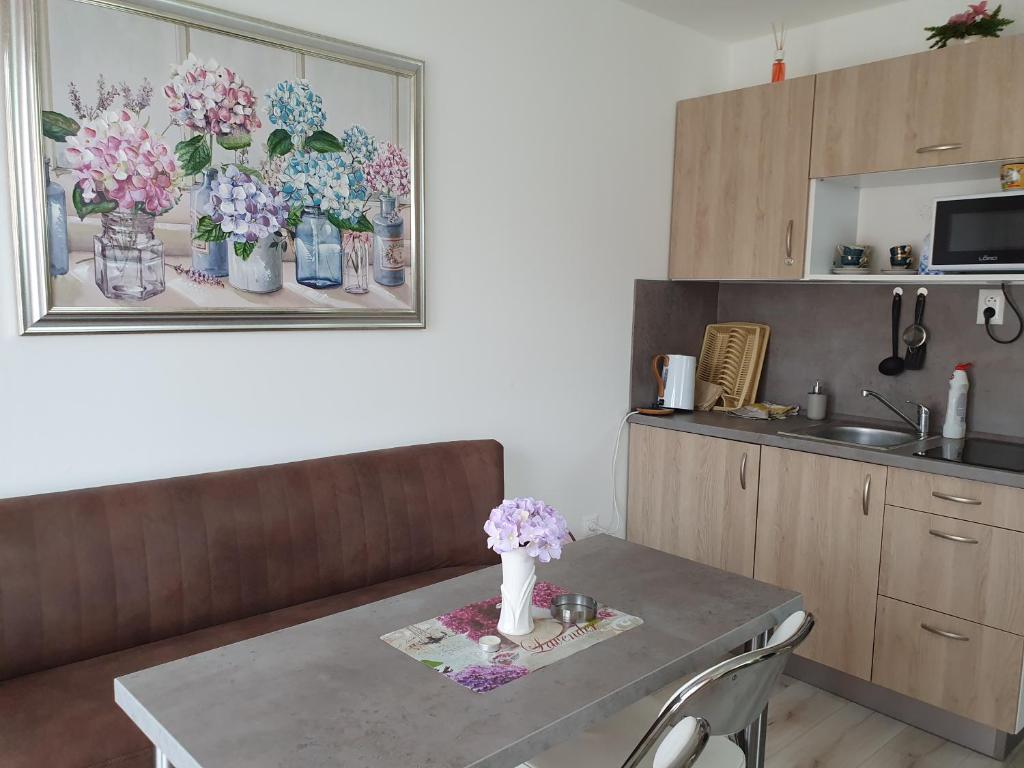 Kuchyň nebo kuchyňský kout v ubytování DIAMOND apartmán Eliška