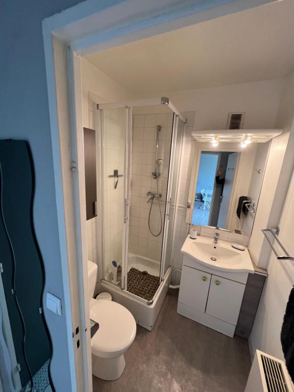 a bathroom with a shower and a toilet and a sink at Appartement à 100m de la plage in Villers-sur-Mer