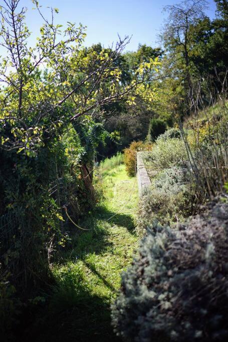 Ein Garten an der Unterkunft D'Hestia - Gîte avec vue imprenable sur Huy