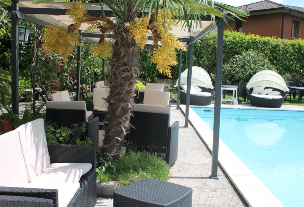 une piscine avec des chaises et un palmier à côté d'un bâtiment dans l'établissement Albergo Paradiso, à Maccagno Superiore