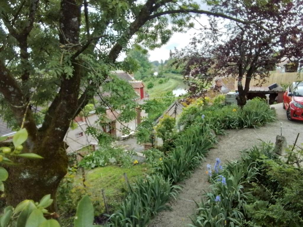 Zahrada ubytování Chambres d'hôtes Châtres-Sur-Cher