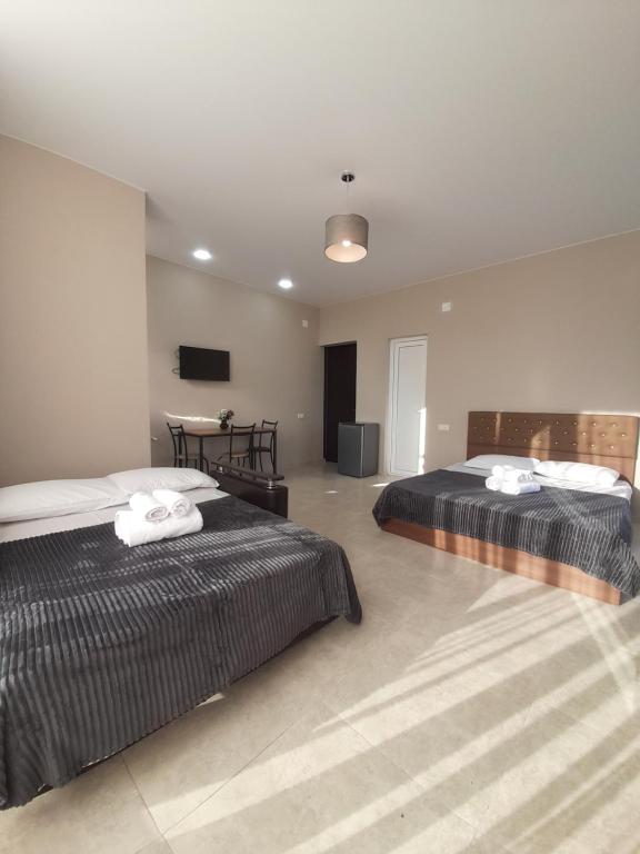 1 Schlafzimmer mit 2 Betten und einem Flachbild-TV in der Unterkunft Noes House in Kobuleti
