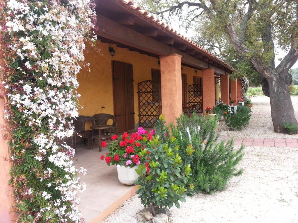 Olmedo – Photos 5