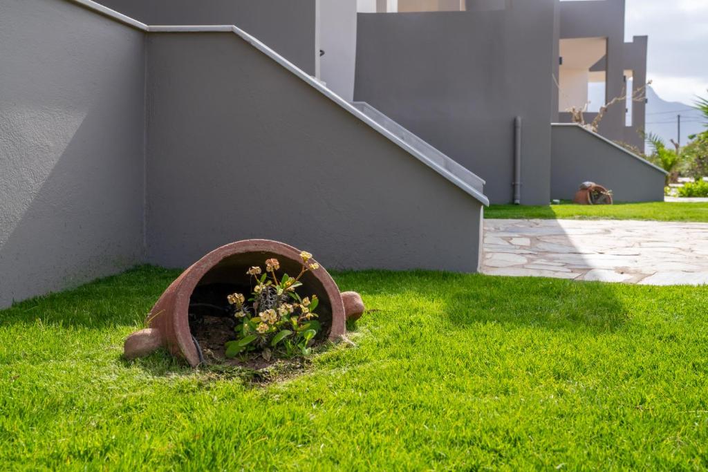 a plant in a wheel in the grass next to a house at Lafo Rooms in Elafonisi