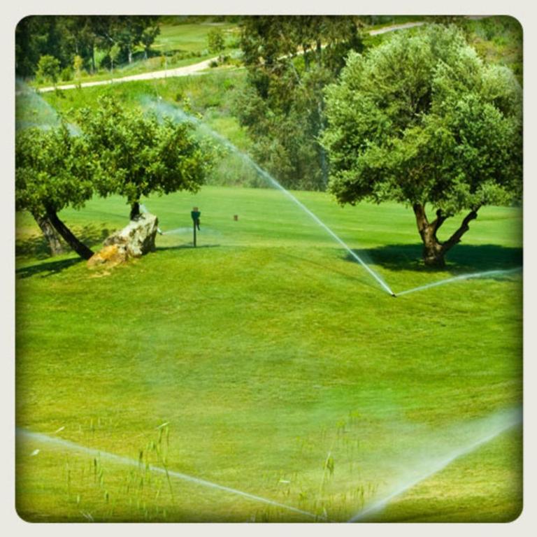 Golf v apartmánu nebo okolí