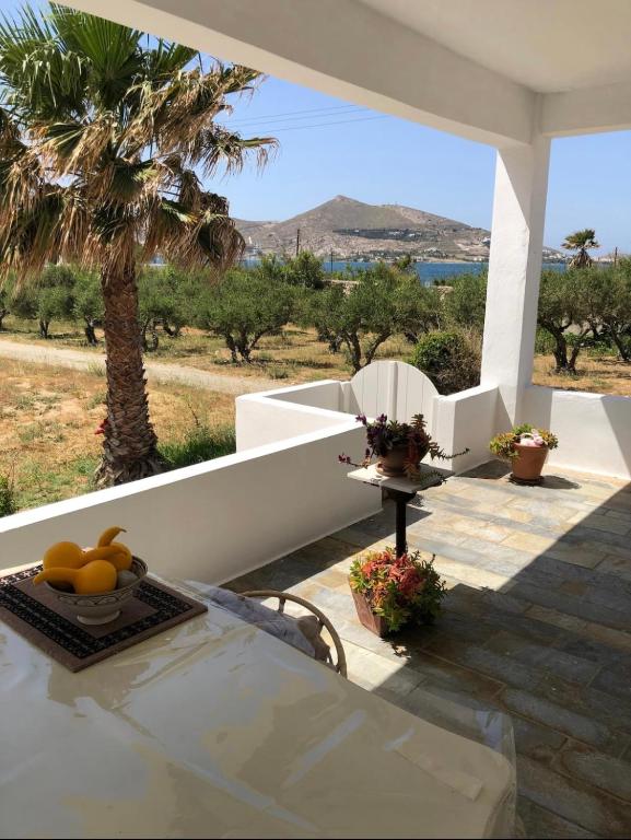 a porch with a table and a palm tree at FYKIA HOUSE in Naousa