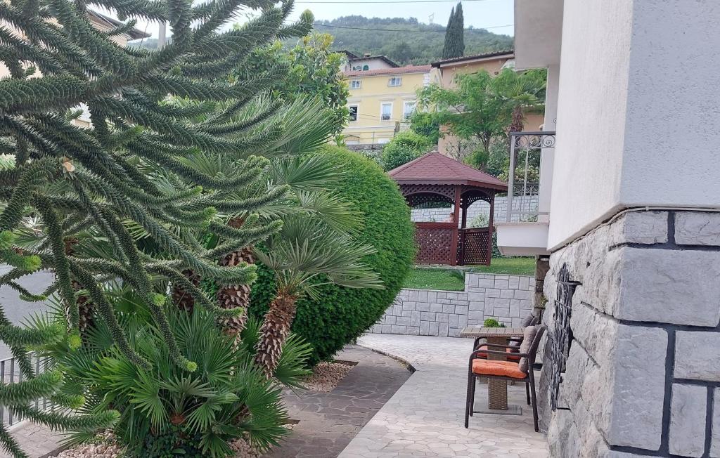 a pine tree next to a building with a chair at Opatija Centar in Opatija