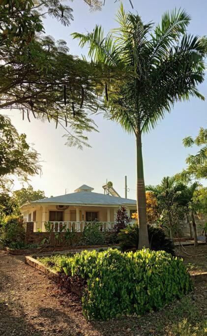 a palm tree in front of a house at Casa Don Miguel in Puerto de Luperon